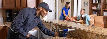 Best Residential Pest Control  in Ellerslie, GA